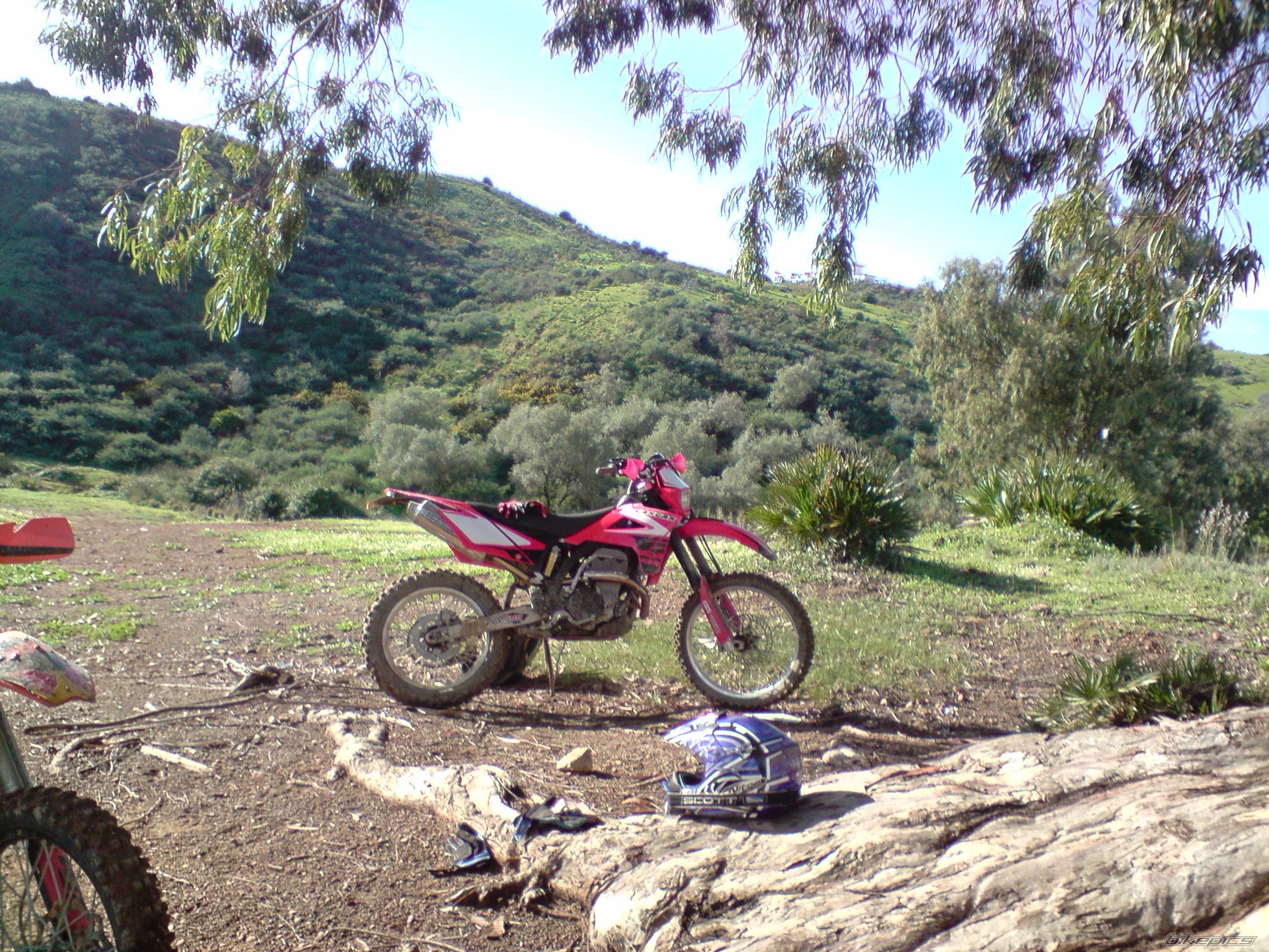 Photo 1530098