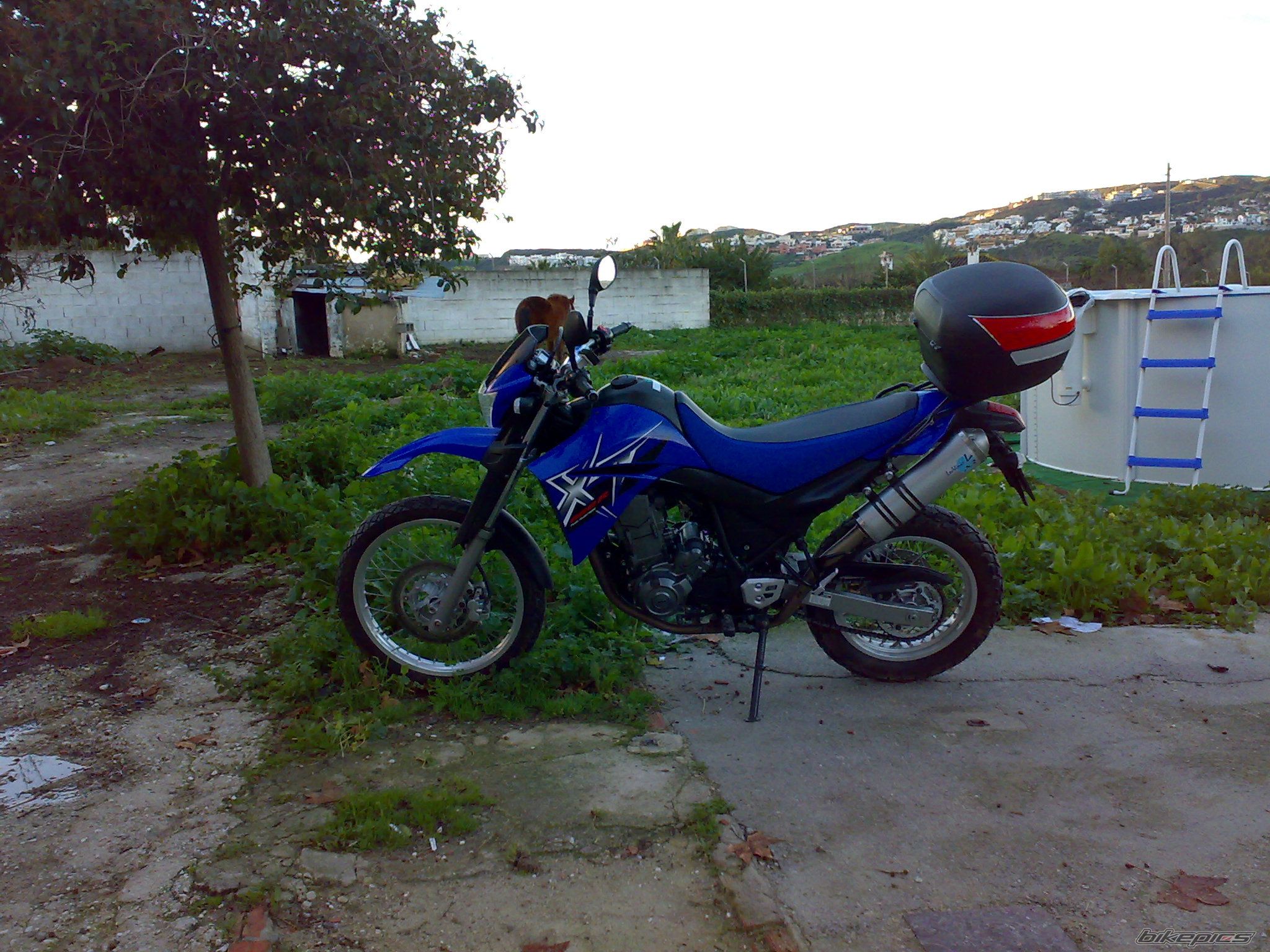 Photo 1530123