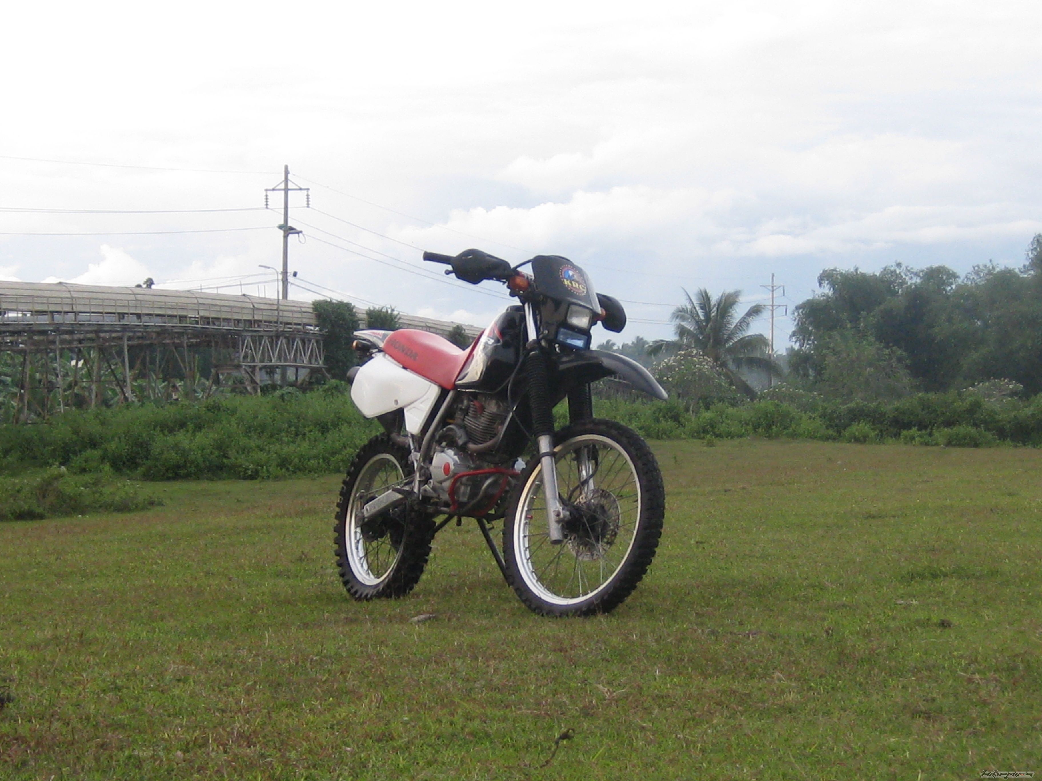 Photo 1530375