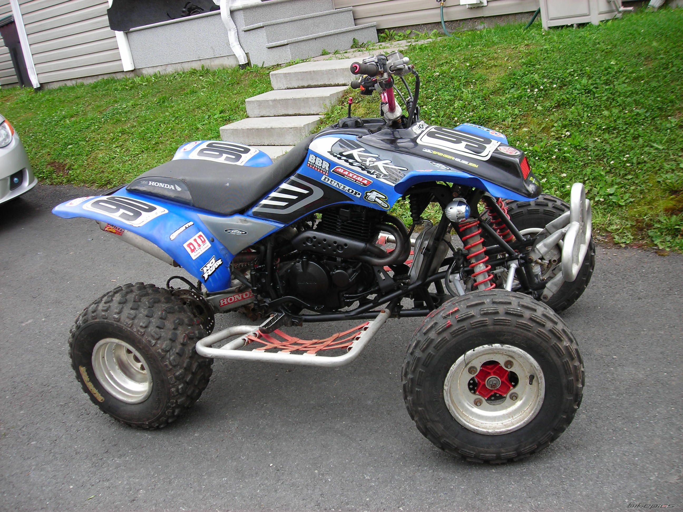 Photo 1530383