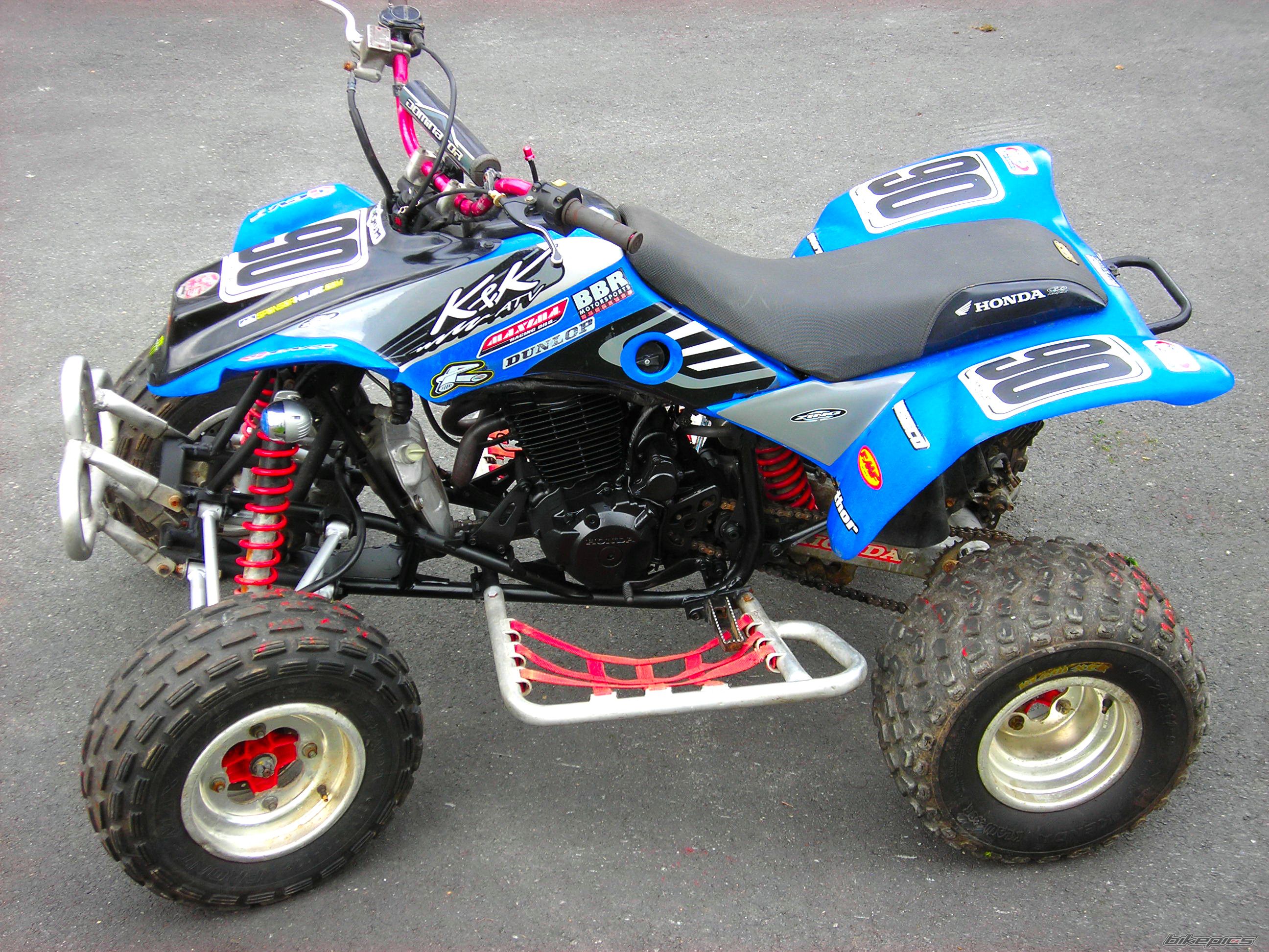 Photo 1530384