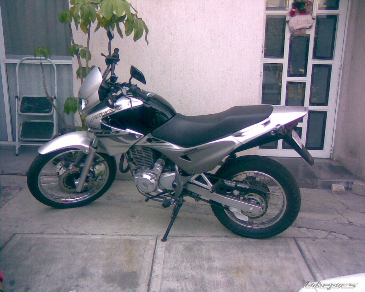 Photo 1530498