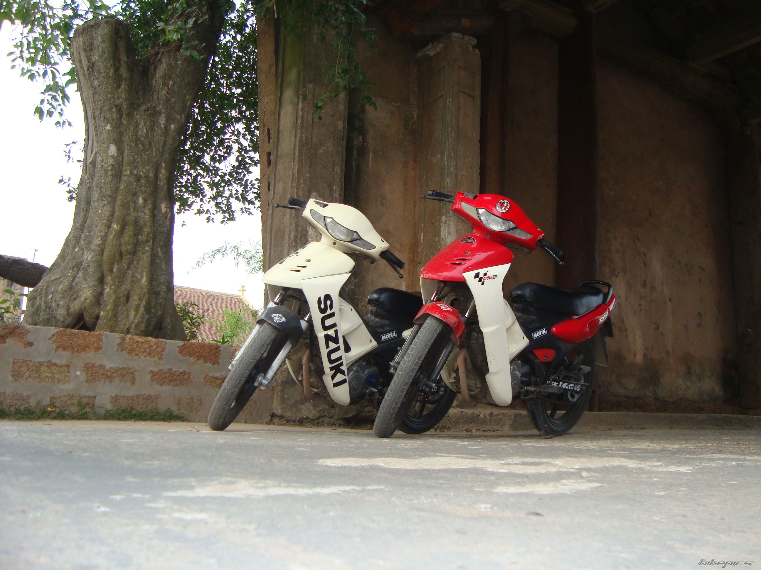 Bike Photo 1530621