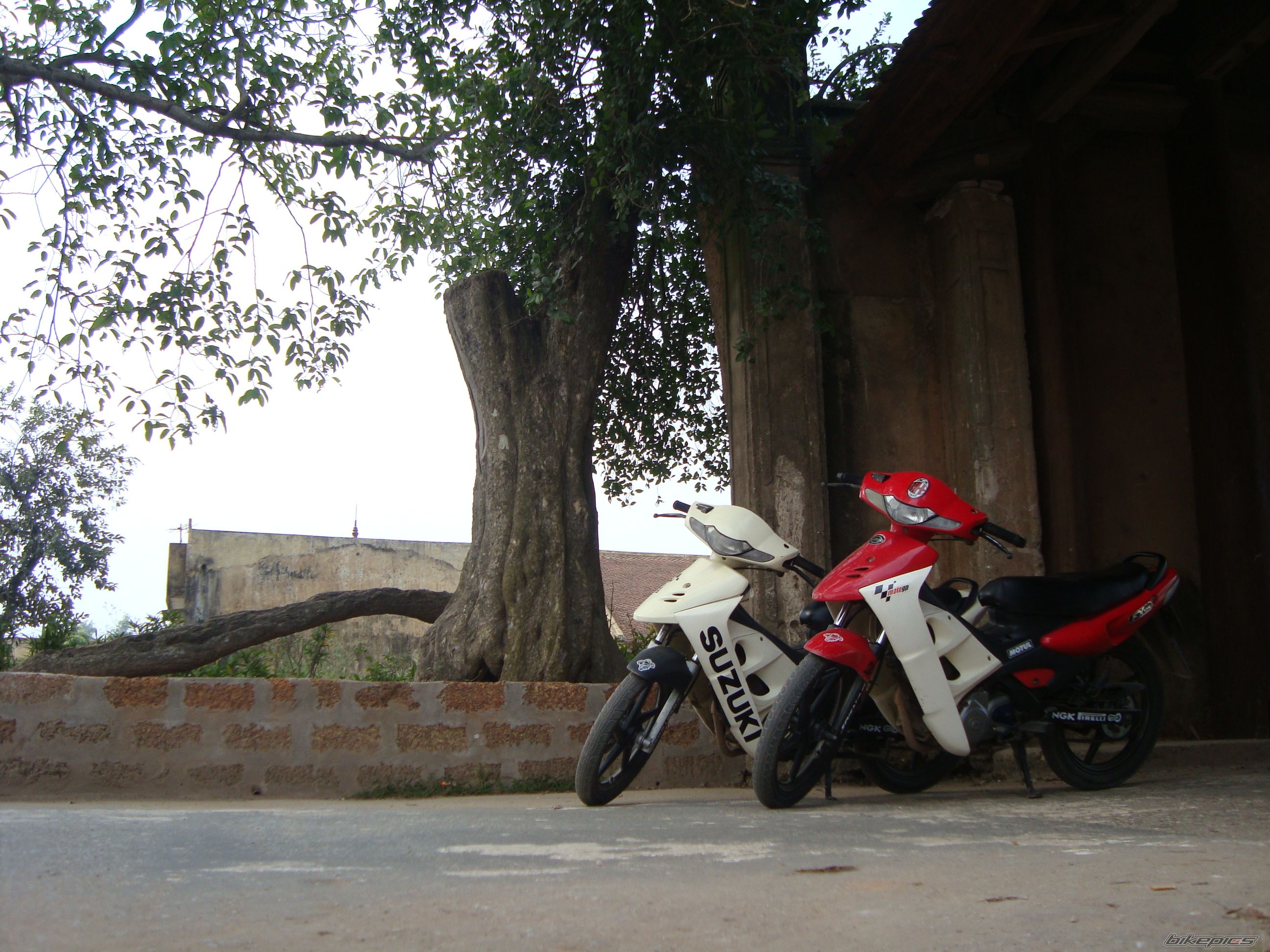 Bike Photo 1530624