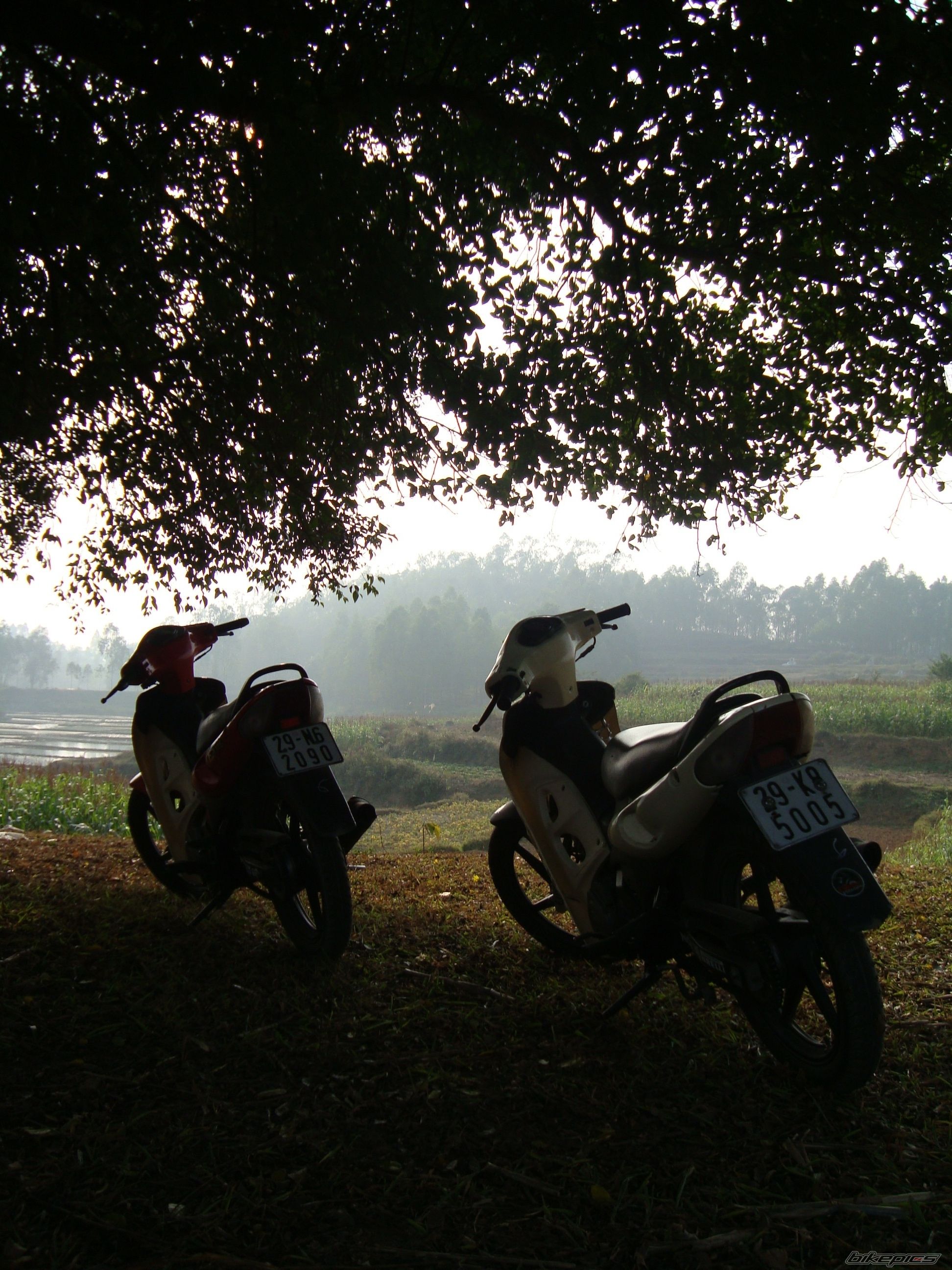 Photo 1530632