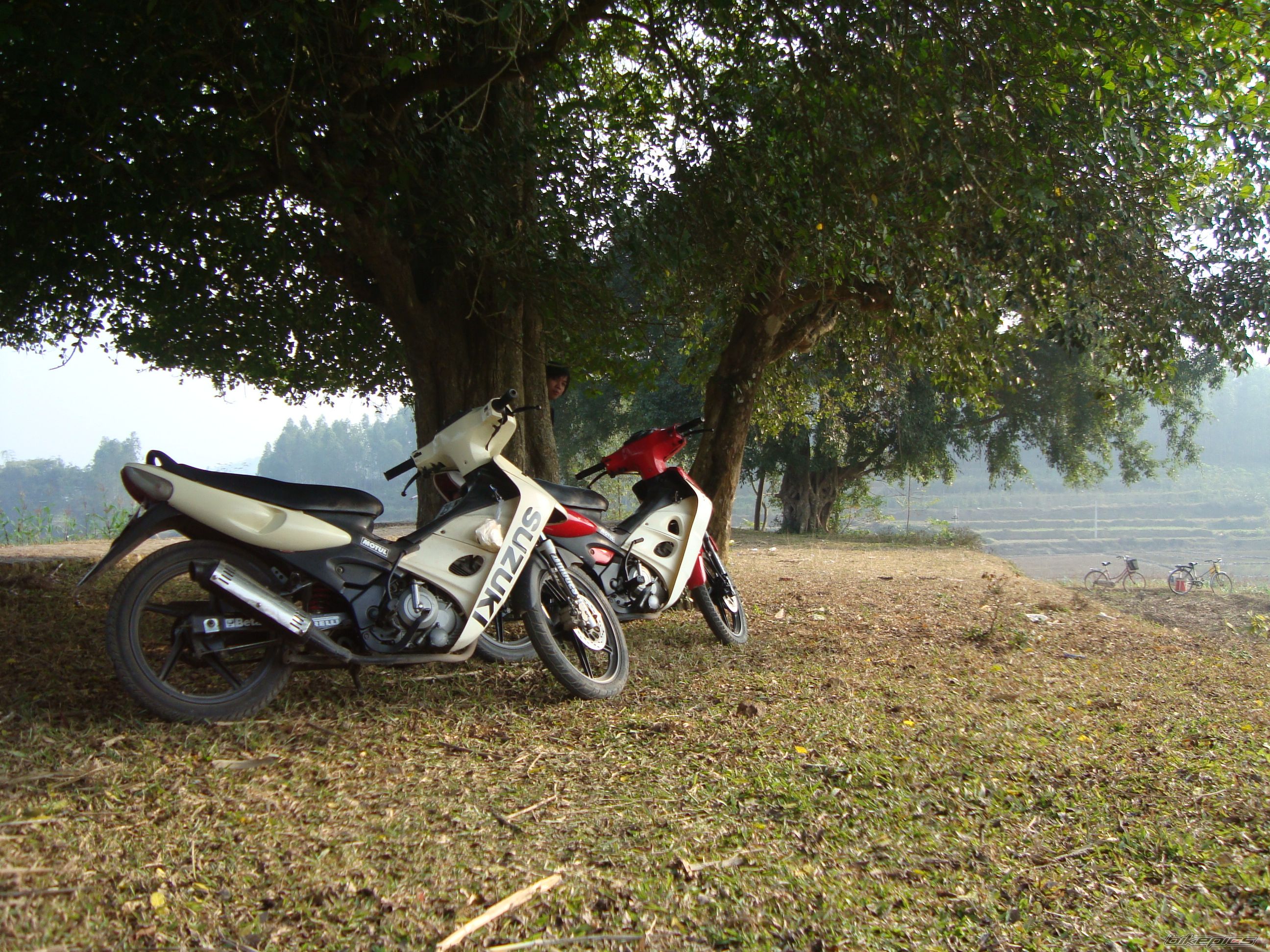 Photo 1530634