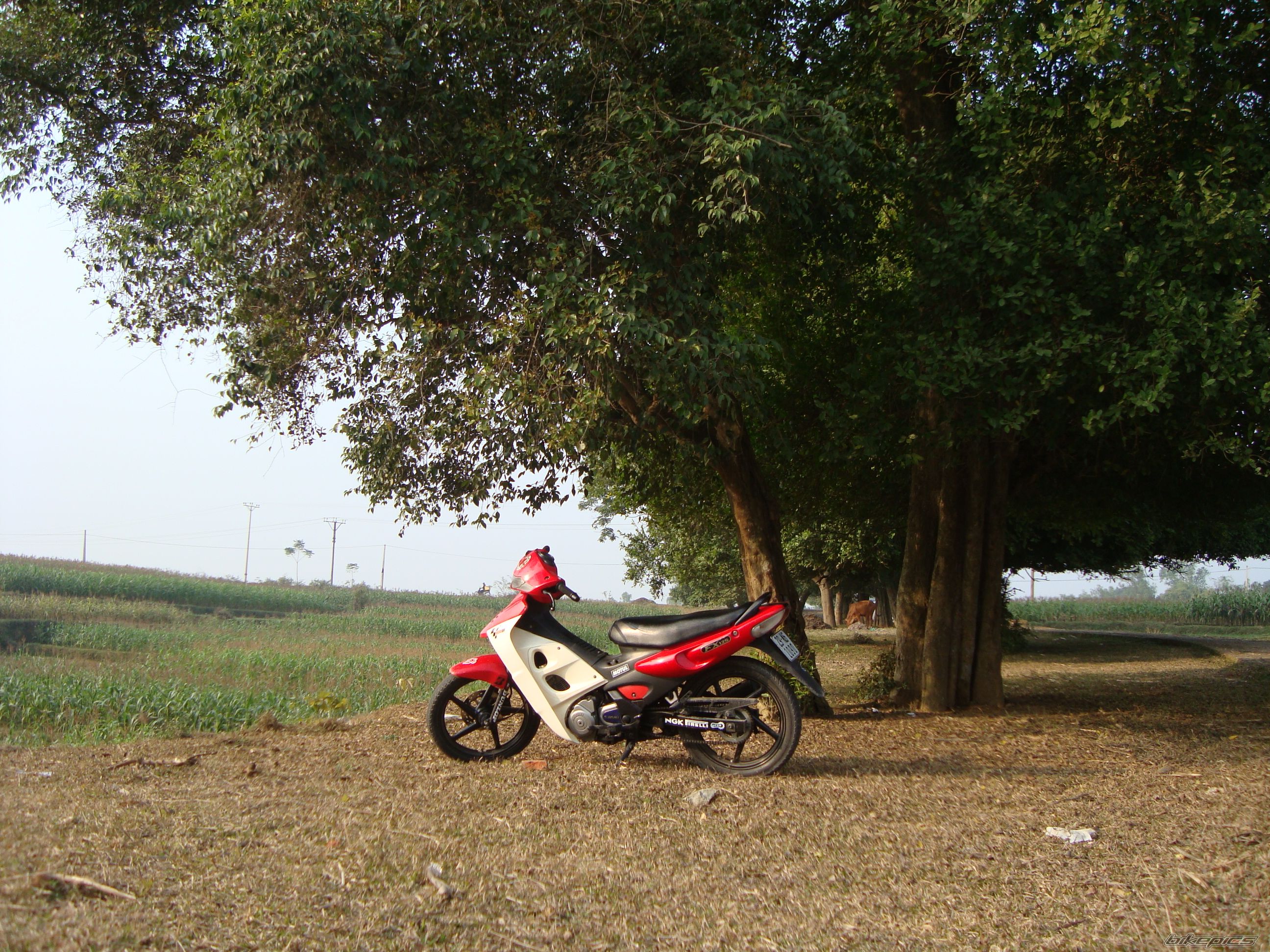 Bike Photo 1530644