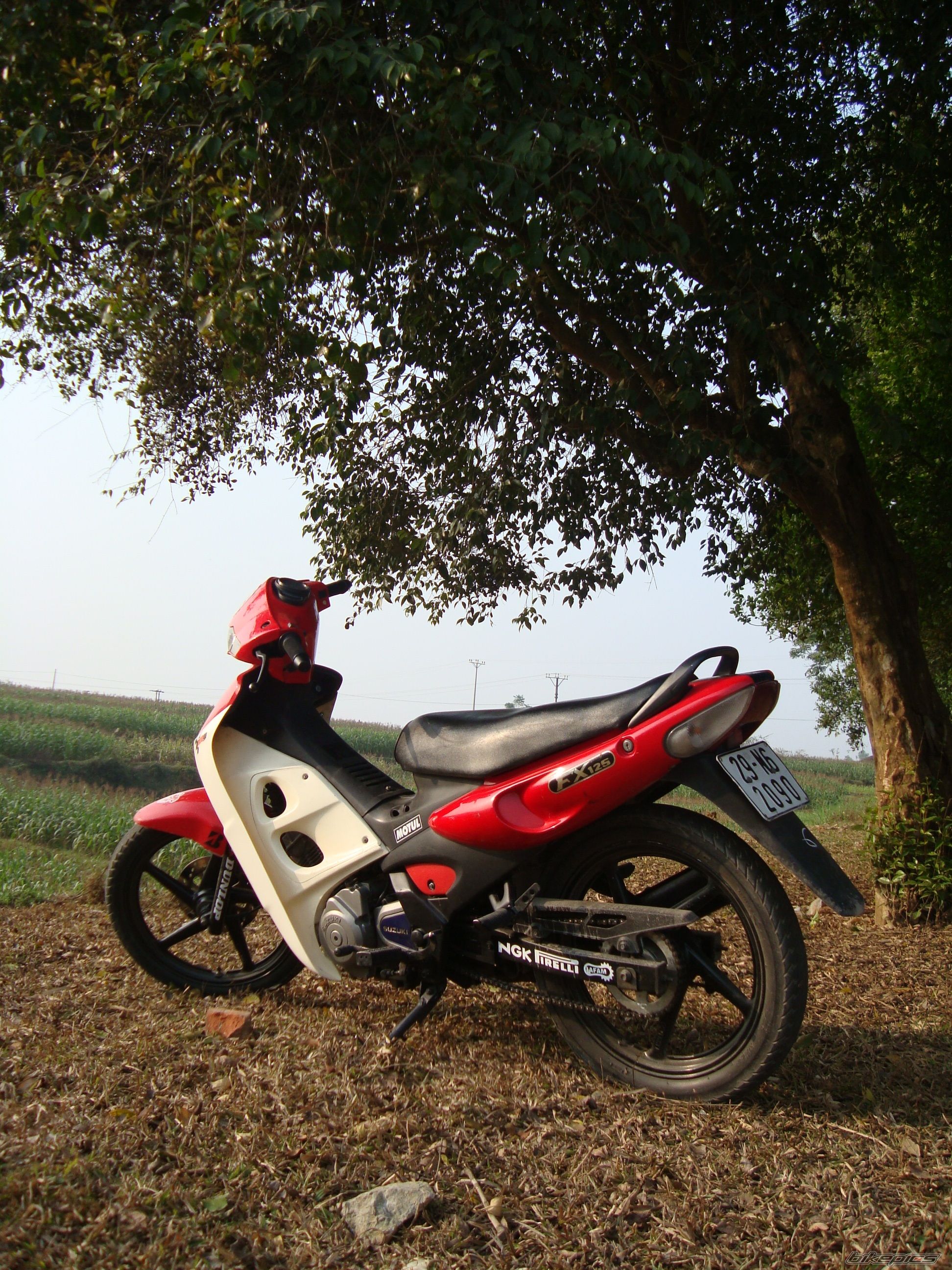 Bike Photo 1530645
