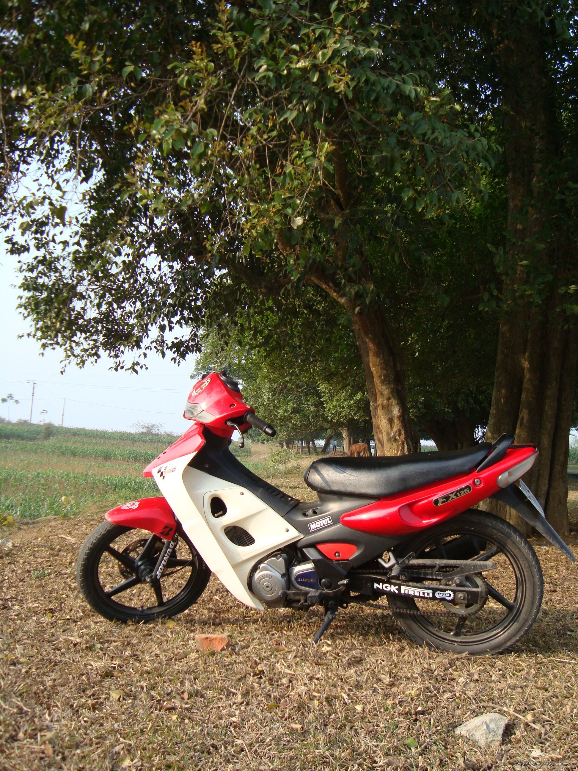 Bike Photo 1530647