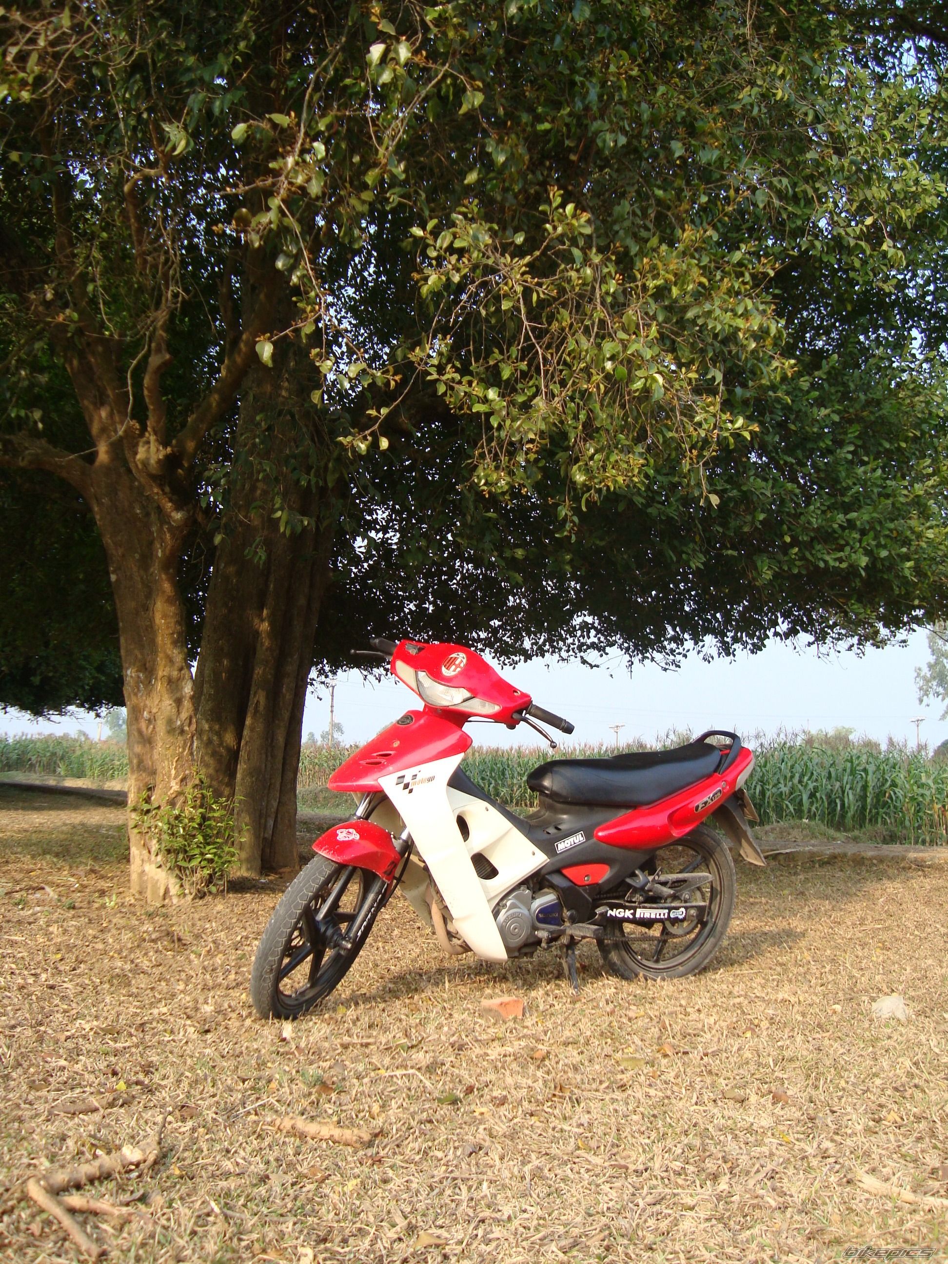 Photo 1530648