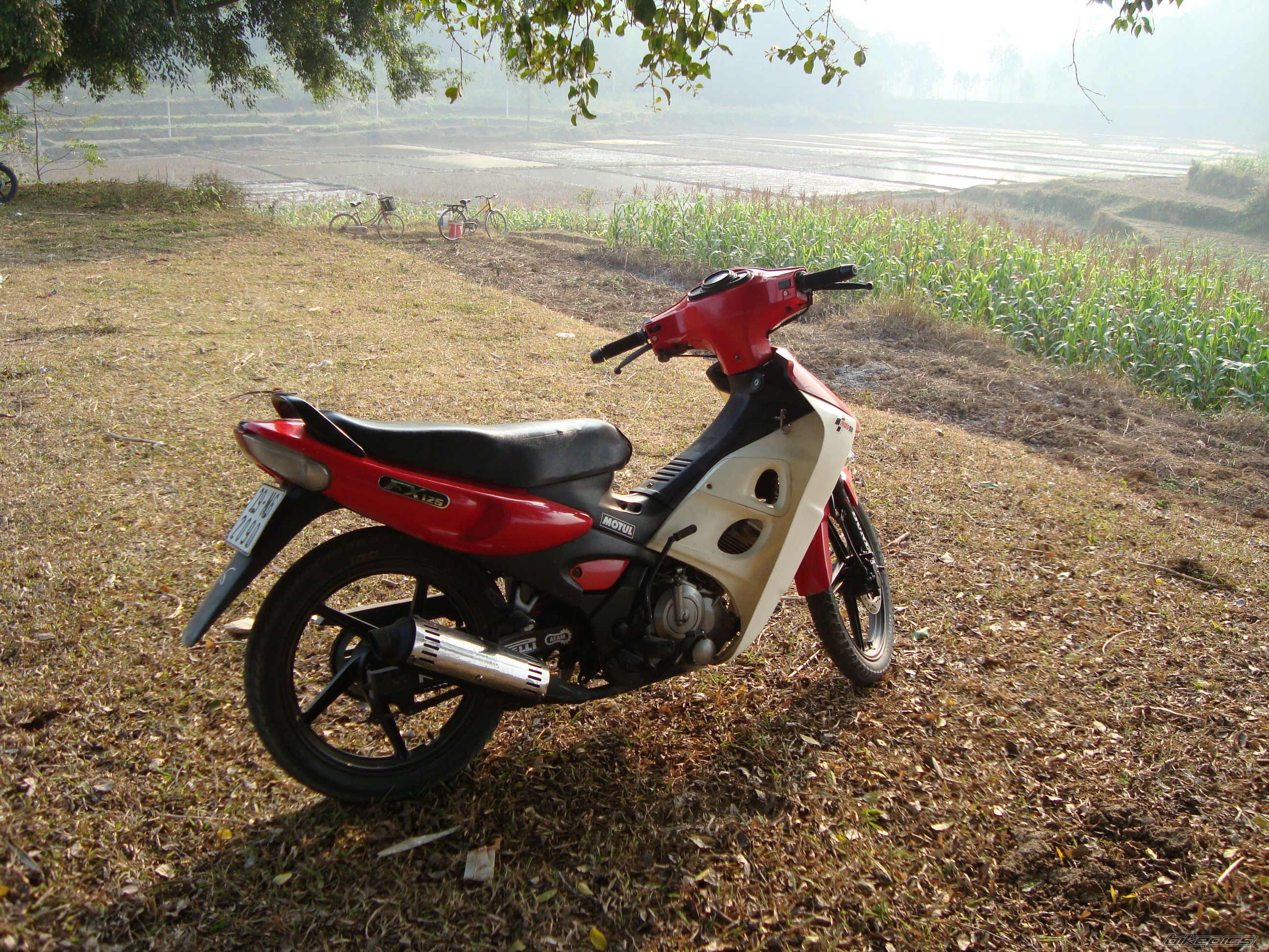 Bike Photo 1530650