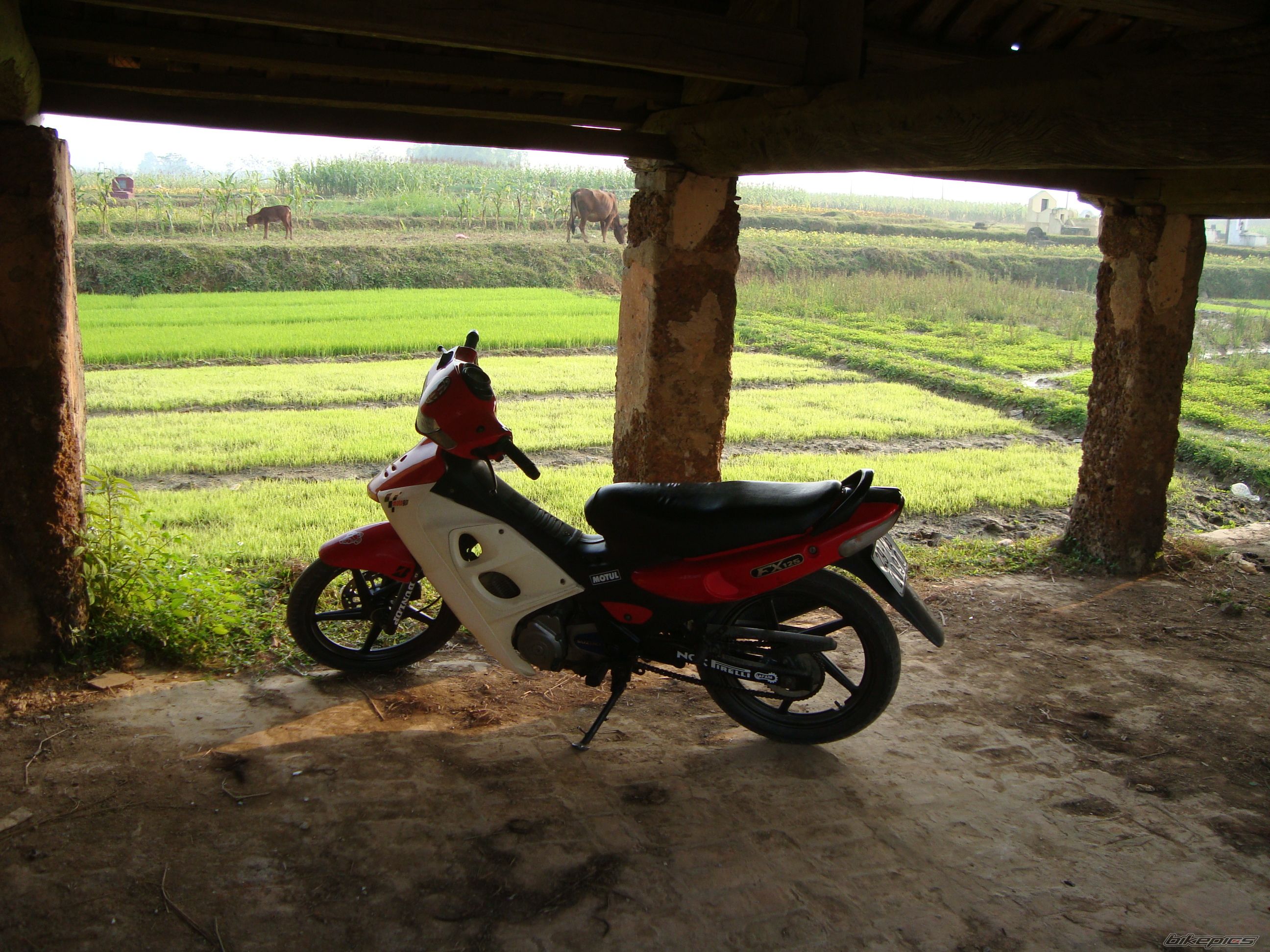 Bike Photo 1530654