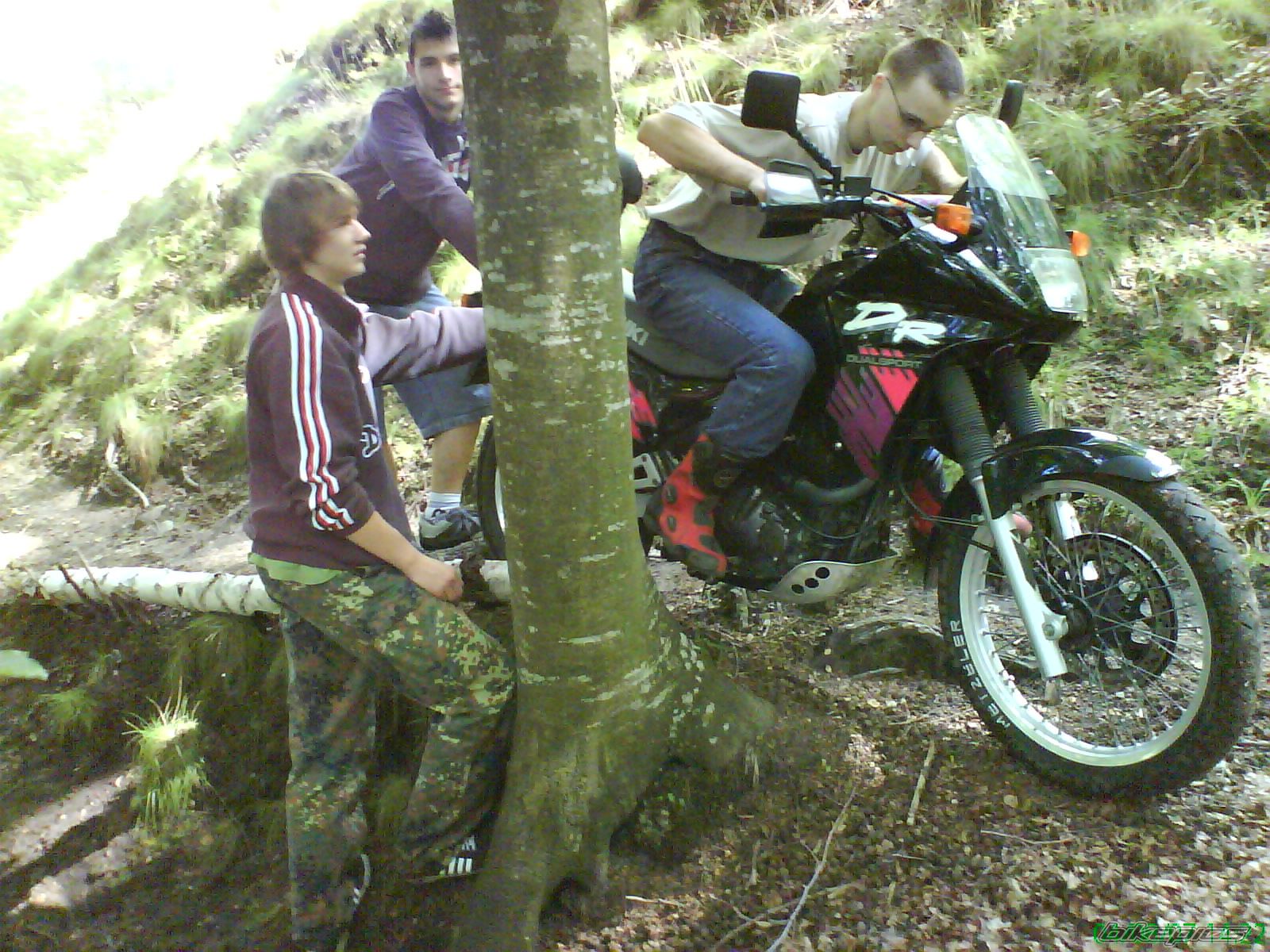Bike Photo 1530680