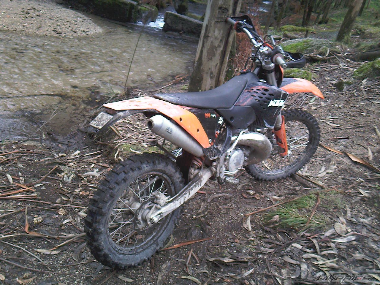 Photo 1530771