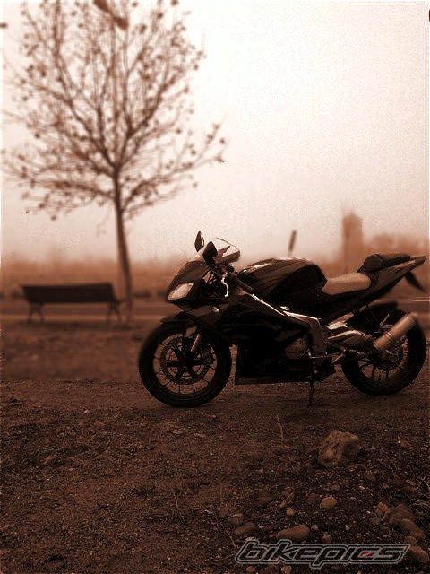 Bike Photo 1530780