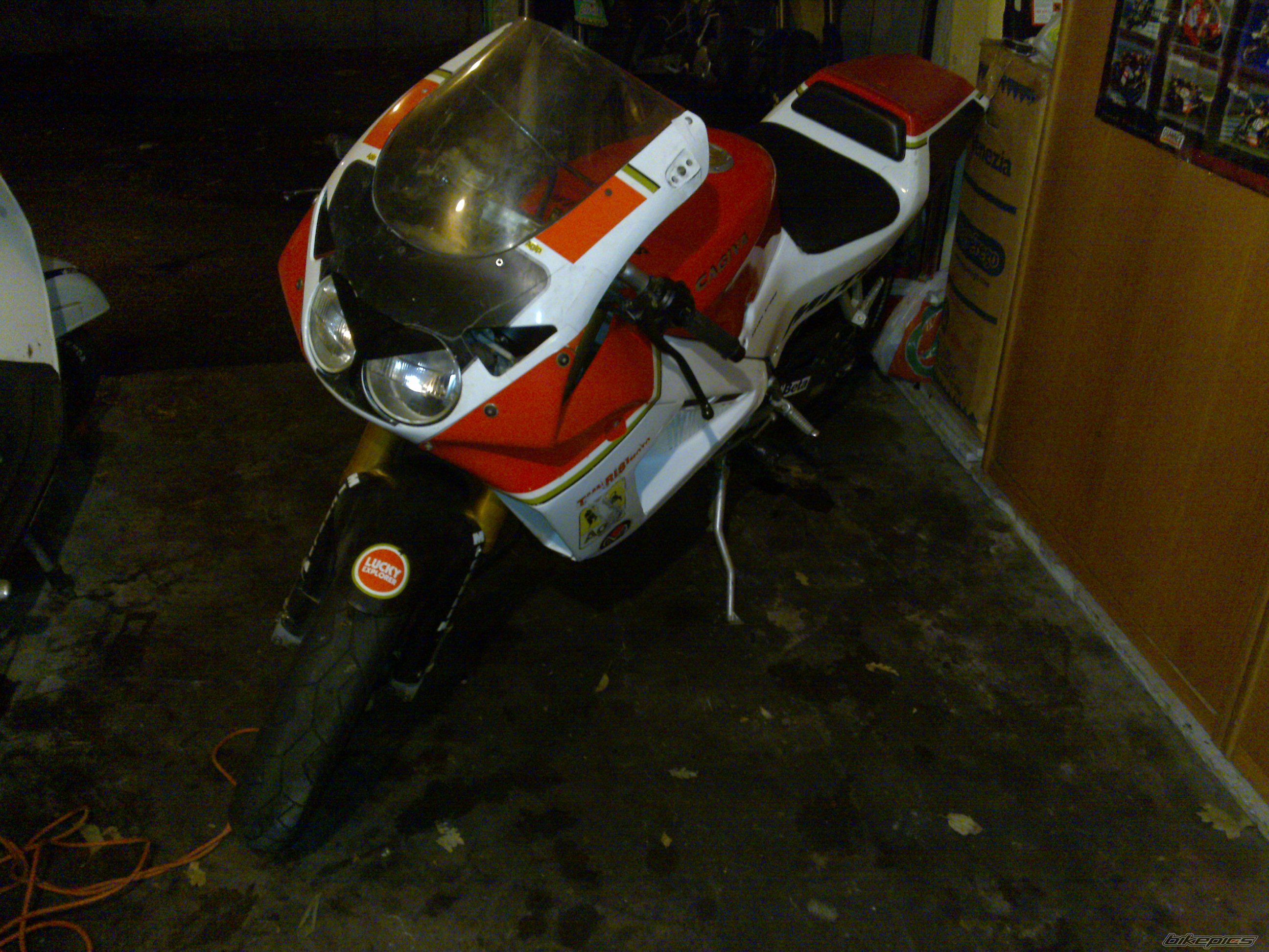 Photo 1530812
