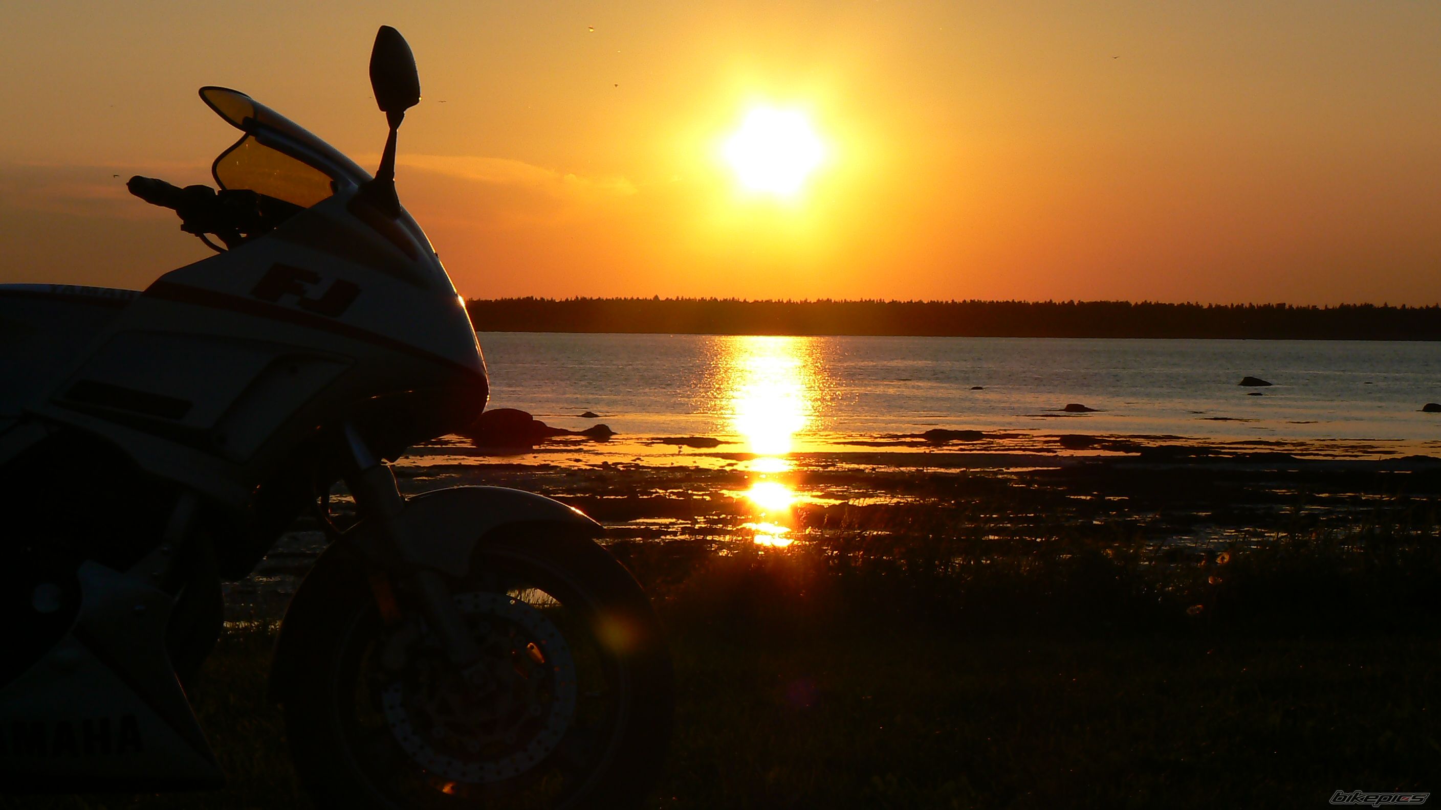 Photo 1531054