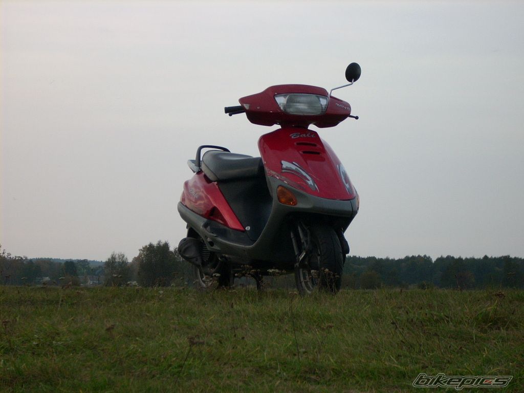 Photo 1531090