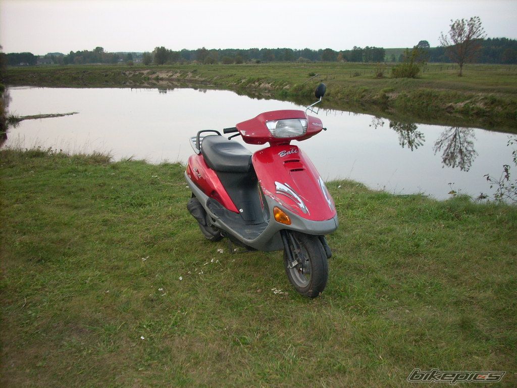 Photo 1531101