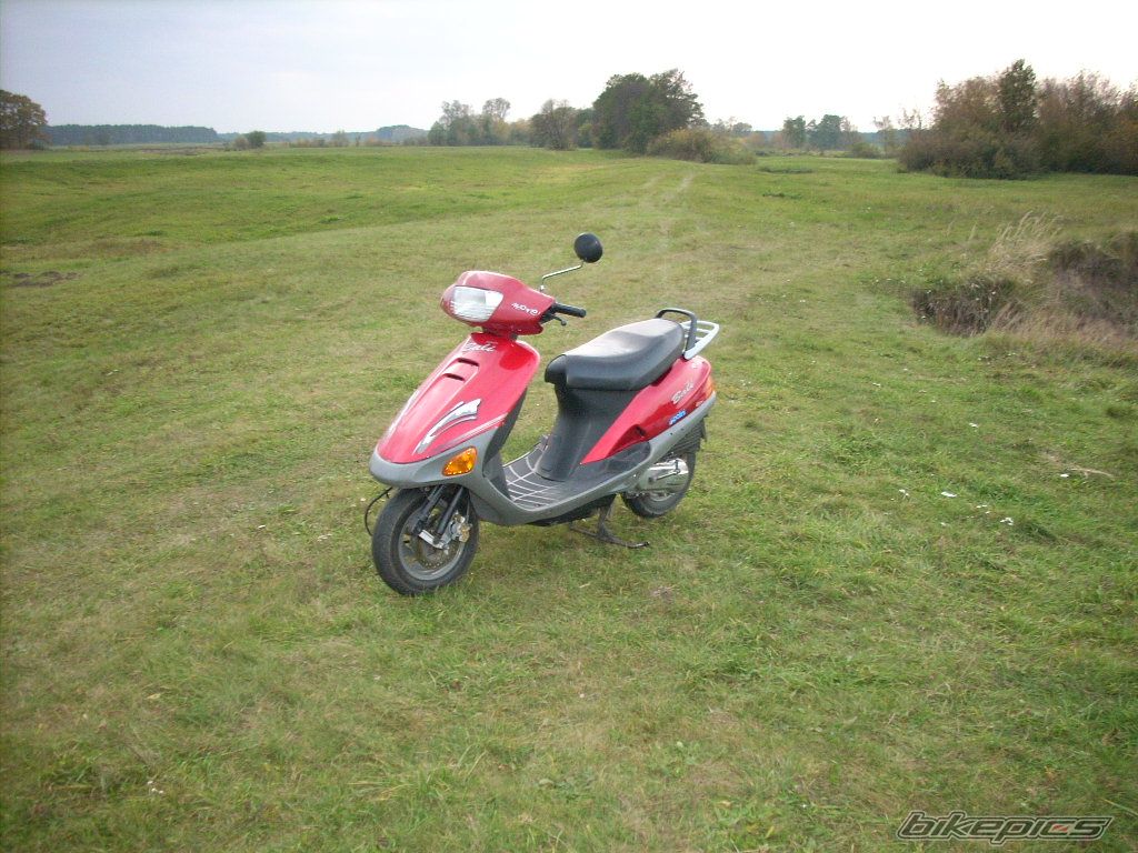 Photo 1531106