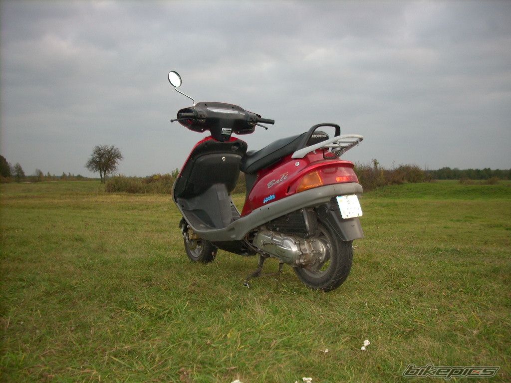 Photo 1531110