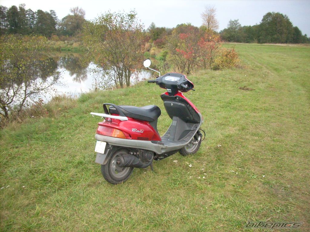 Photo 1531112