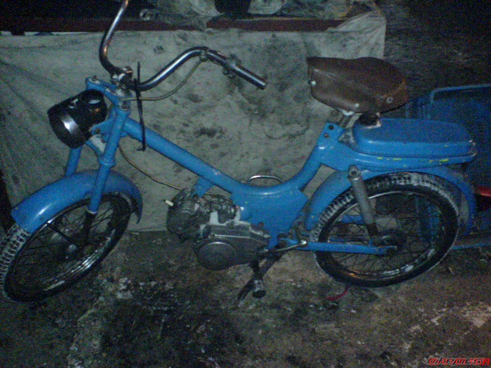 Photo 1531225