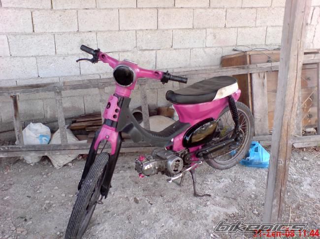 Photo 1531231