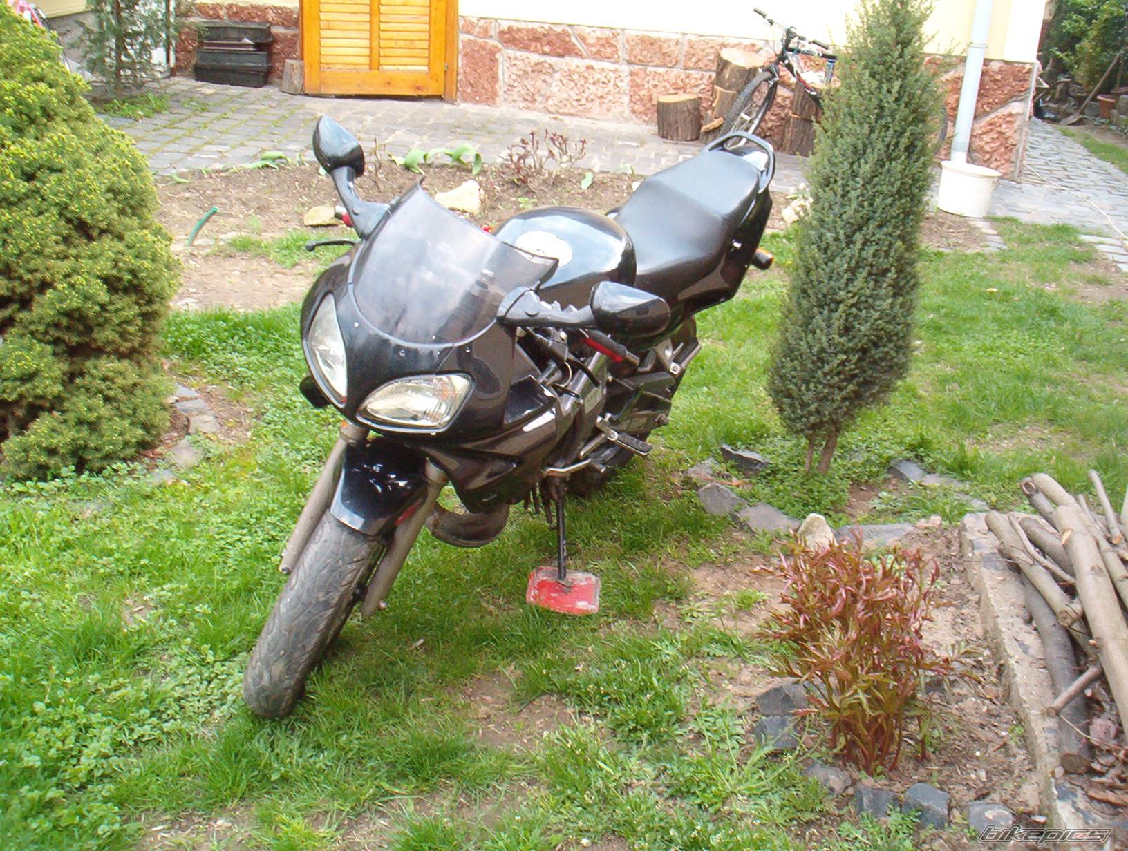 Photo 153124