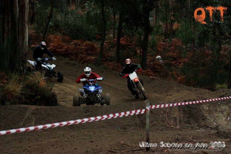 Photo 1531259