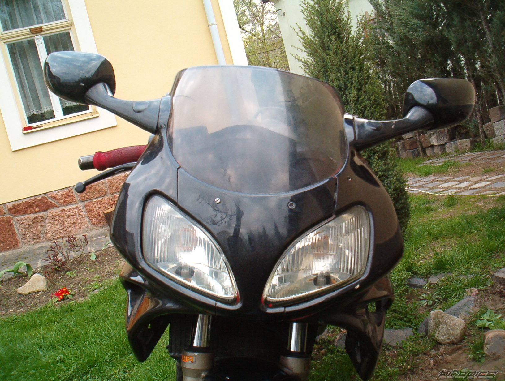 Photo 153126