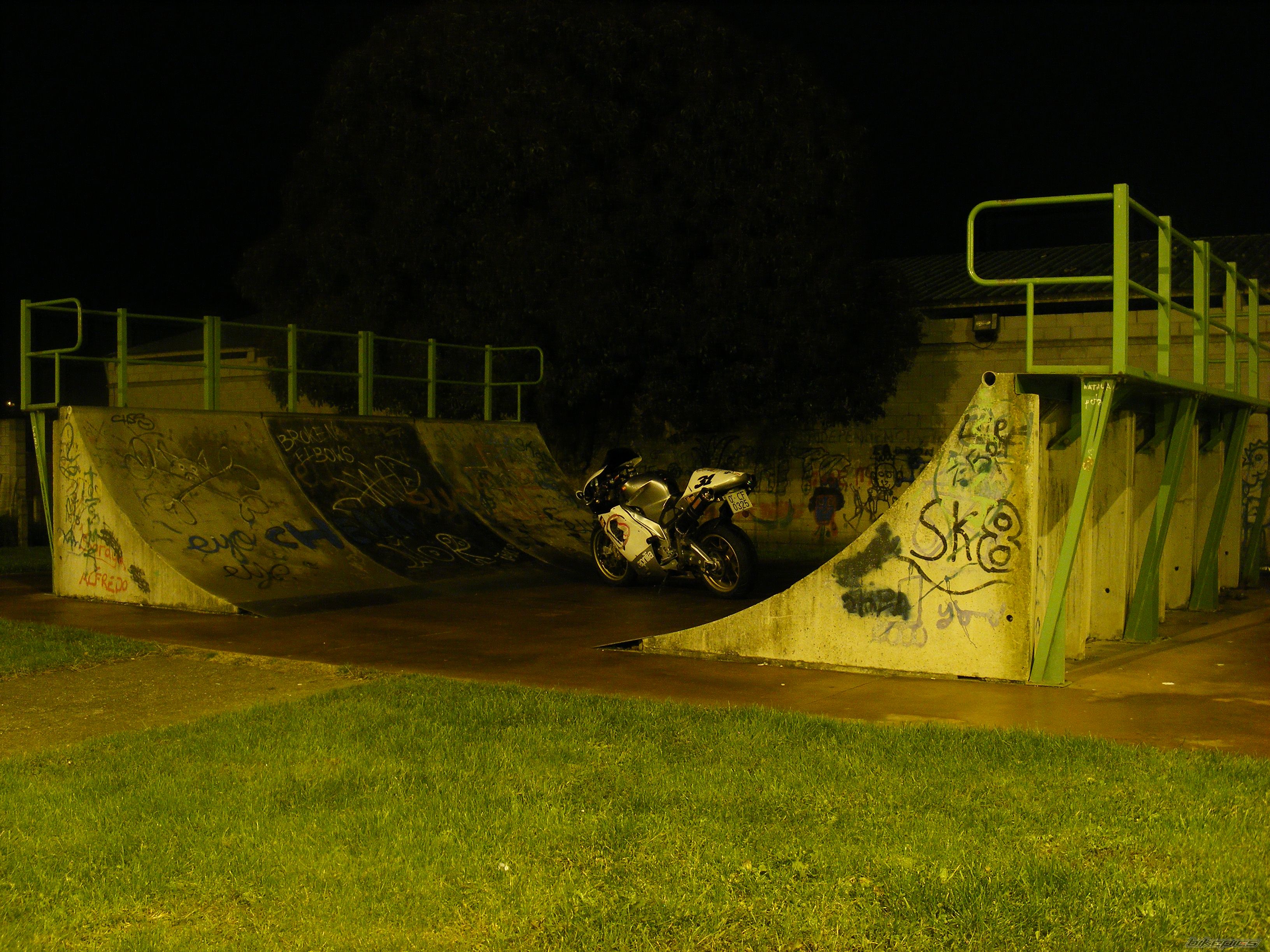 Photo 1531266