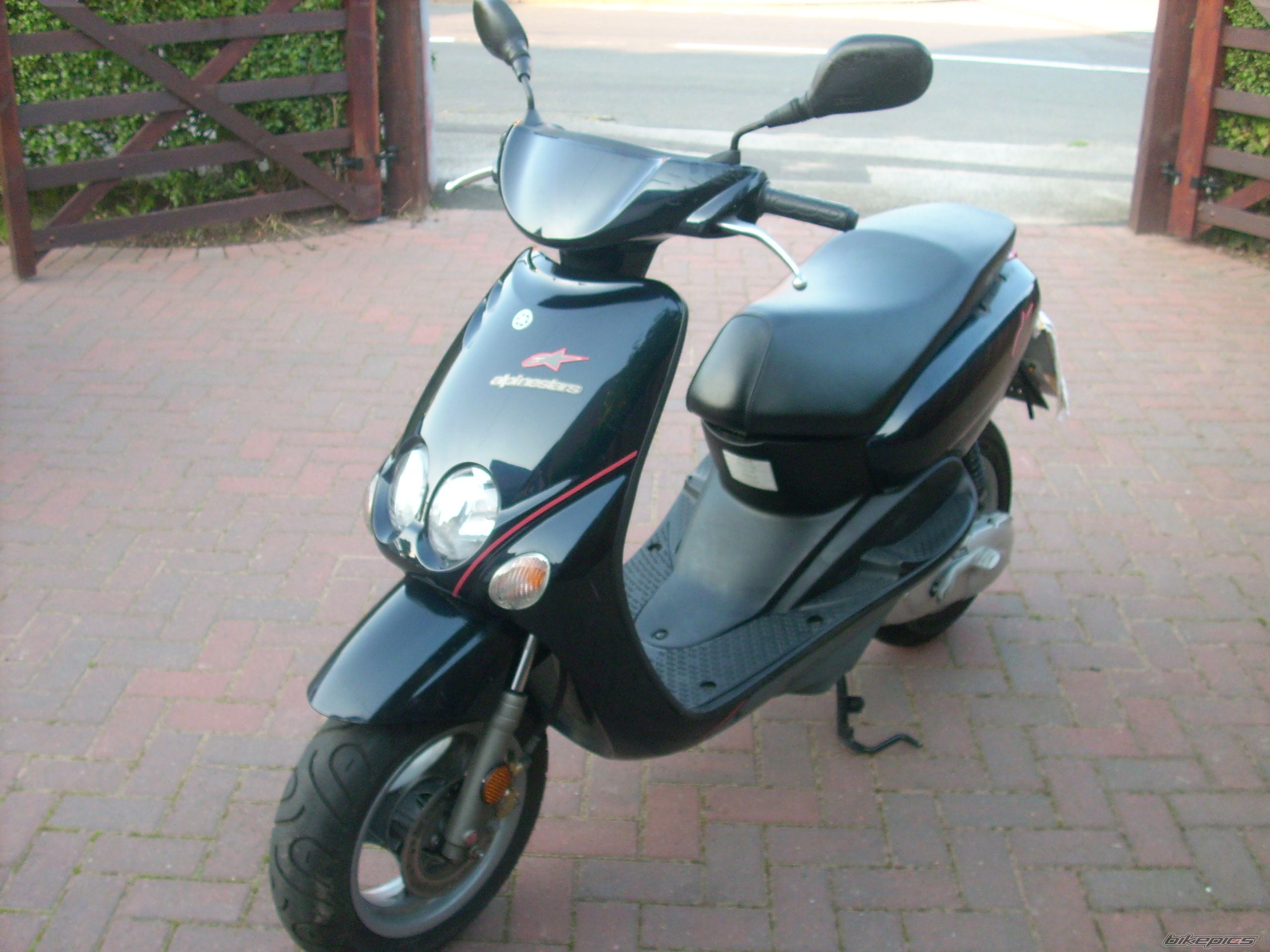 Photo 1531271