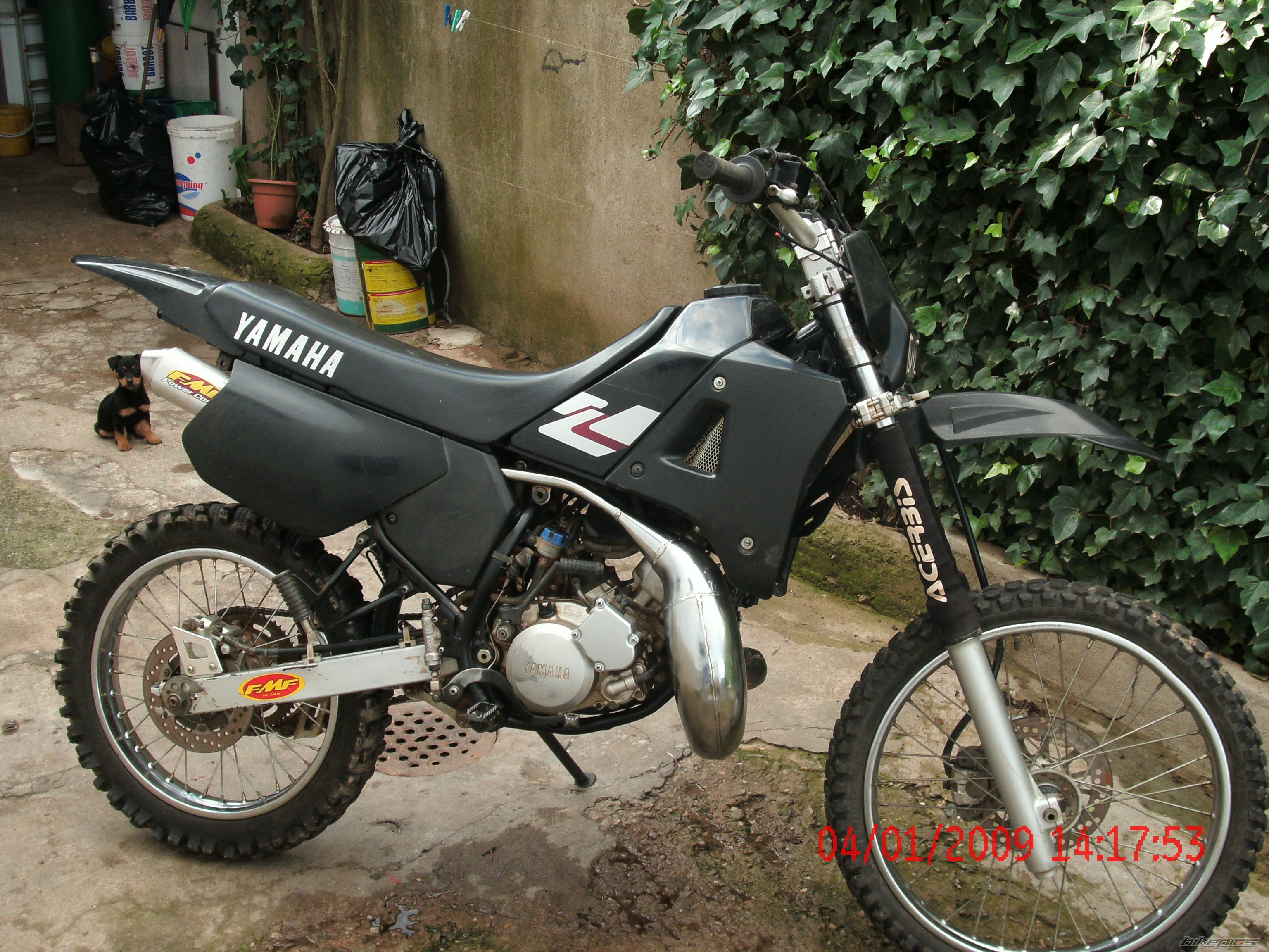 Photo 1531279