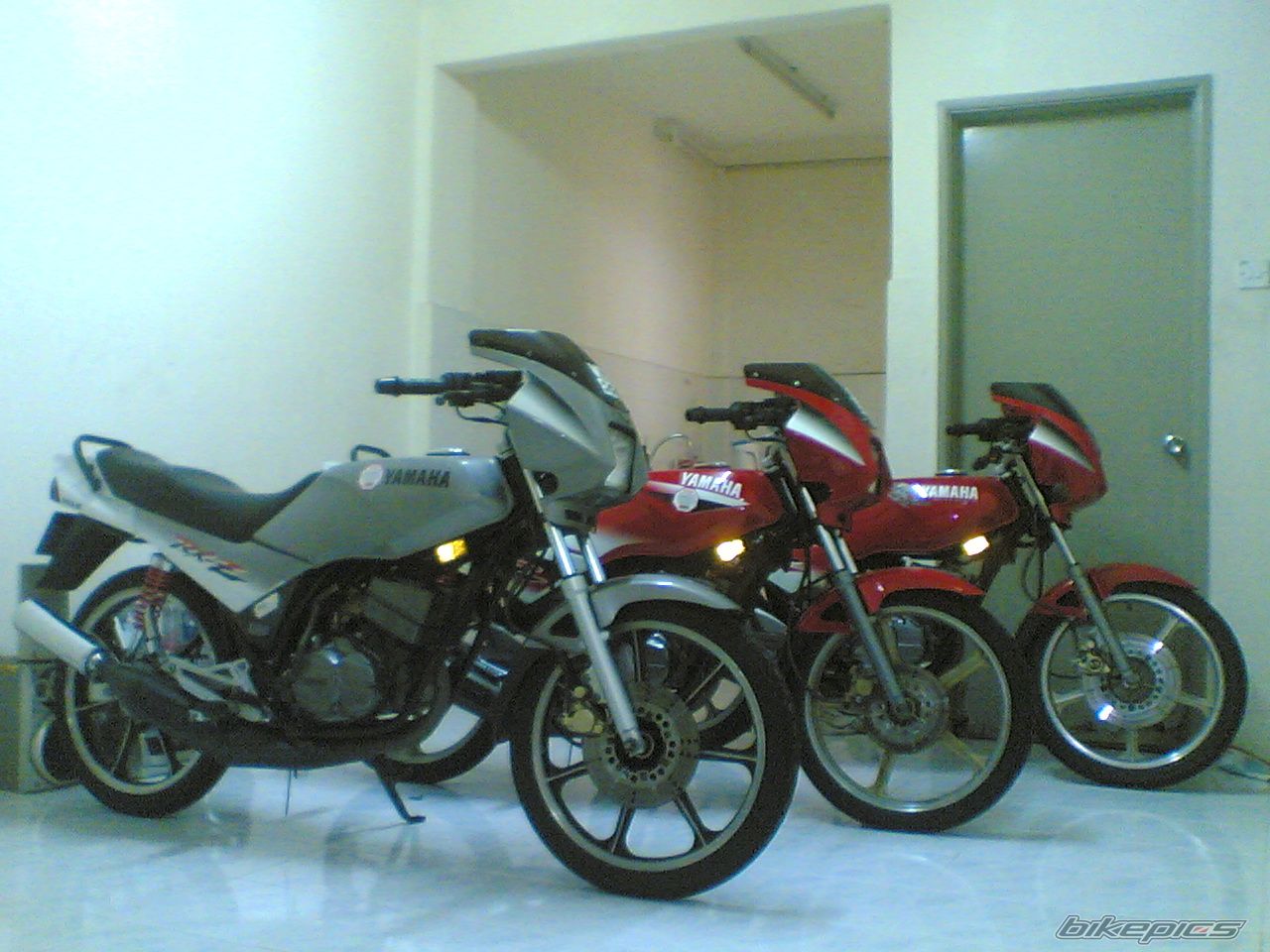 Photo 1531302
