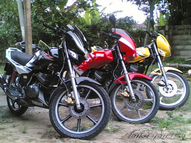 Photo 1531312