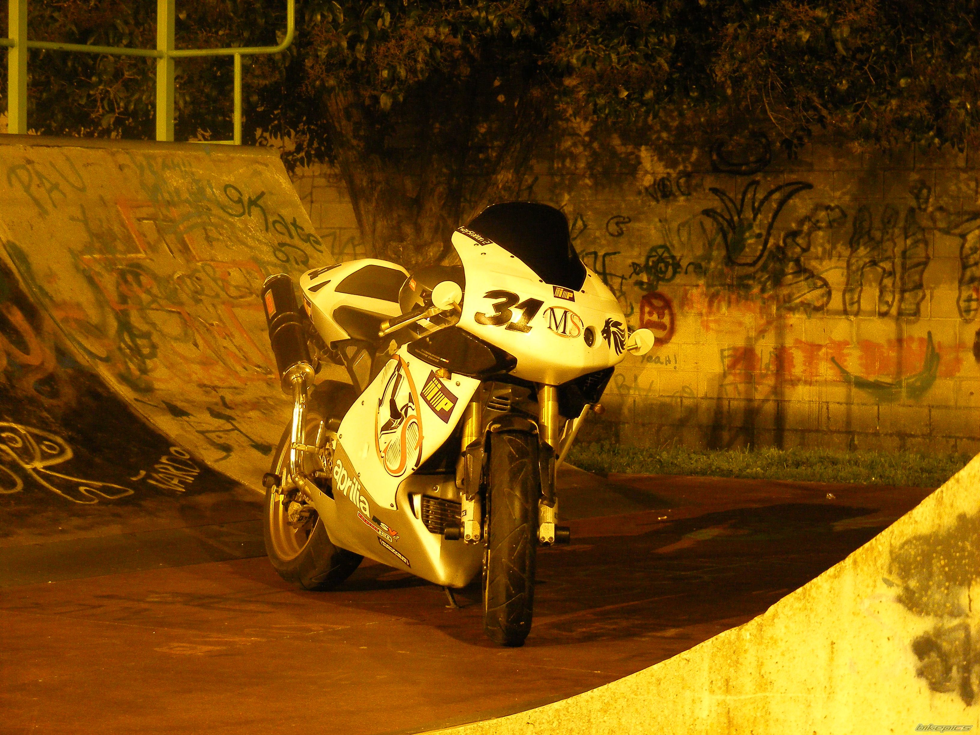 Photo 1531336