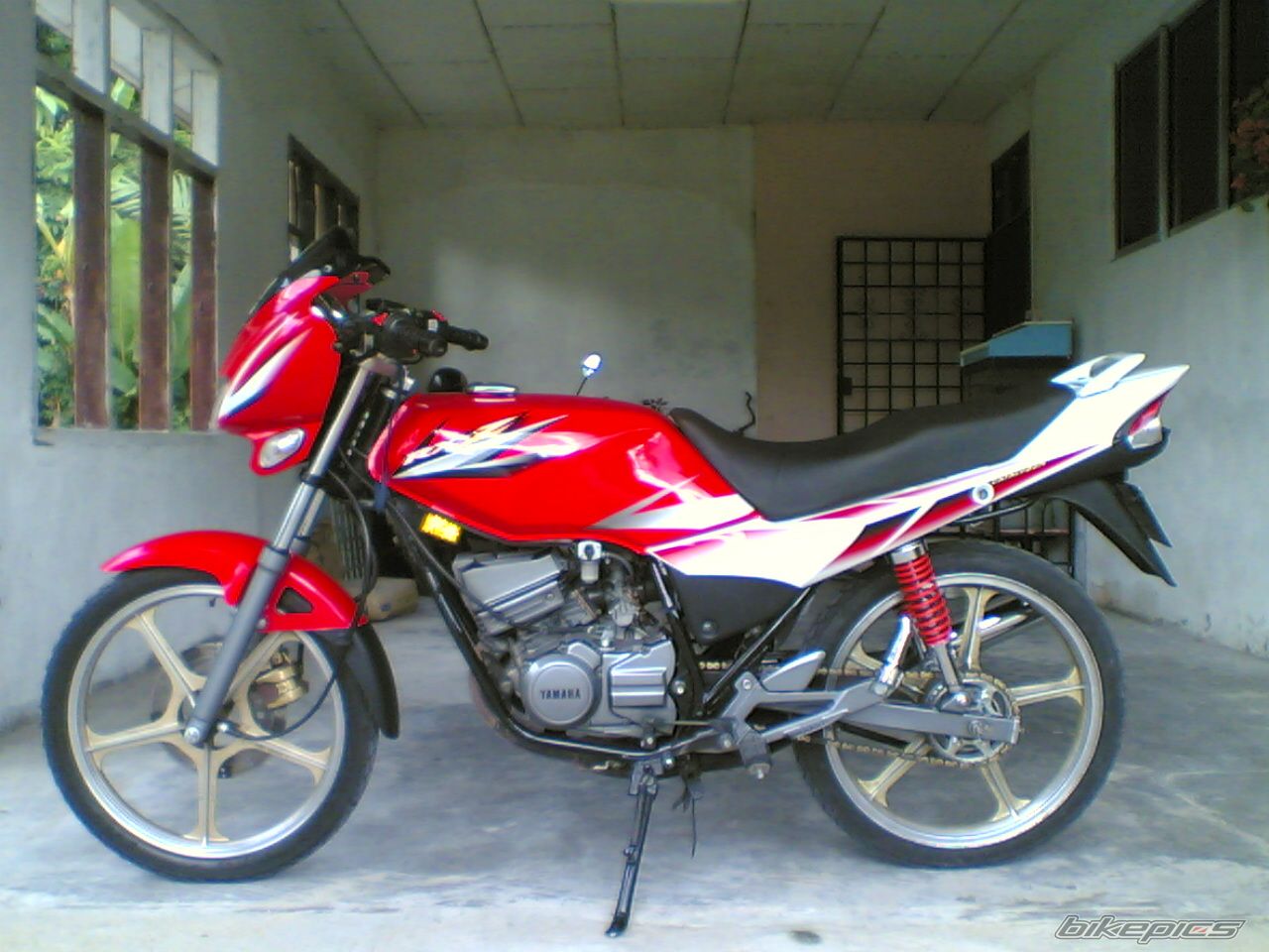 Photo 1531368