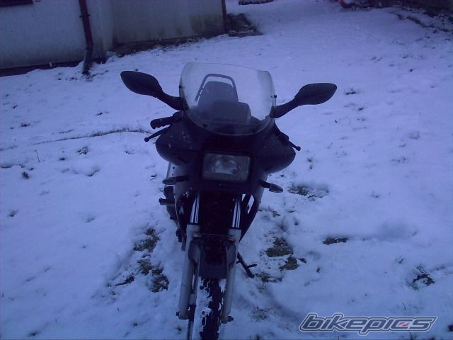 Photo 1531369
