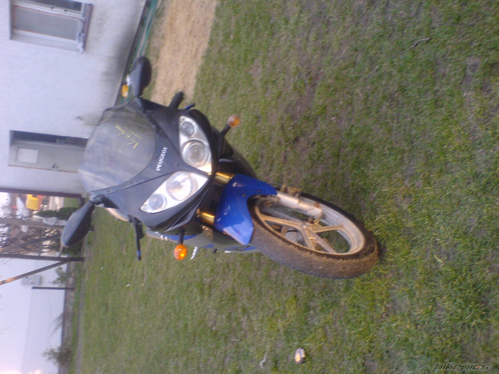 Photo 1531380