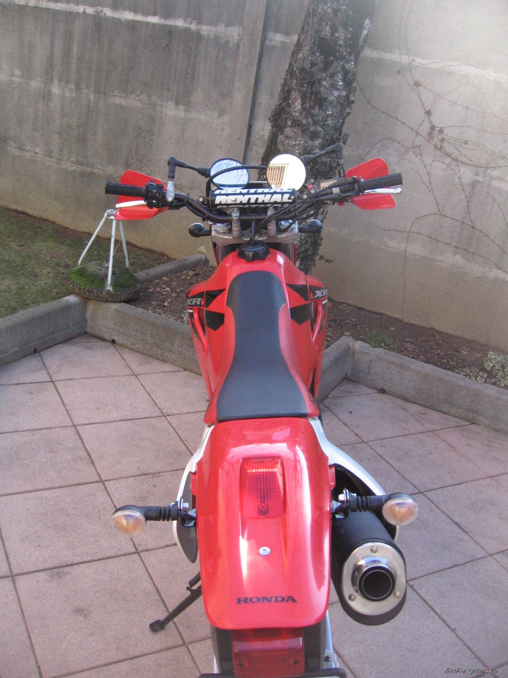 Photo 1531388