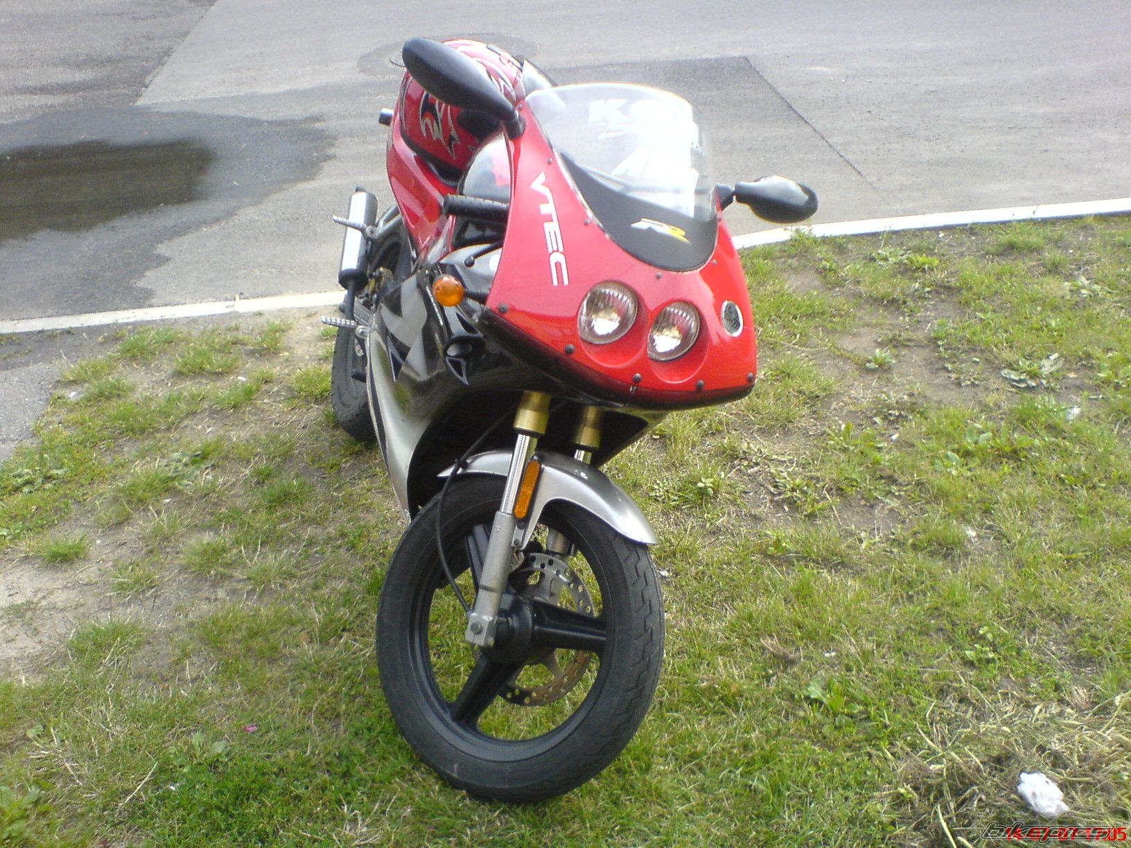 Photo 1531392