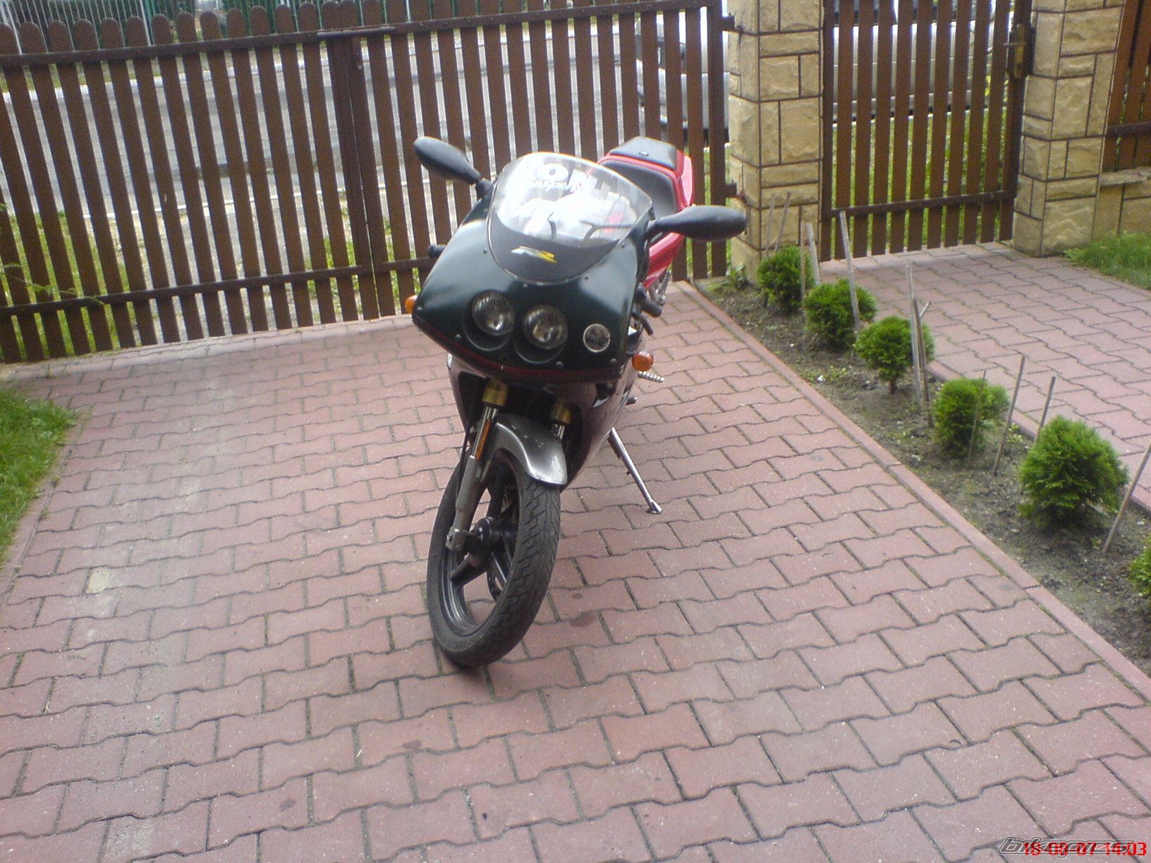 Photo 1531419
