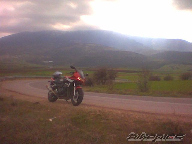 Photo 1531422