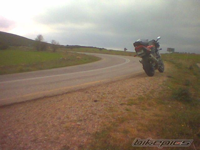 Photo 1531425