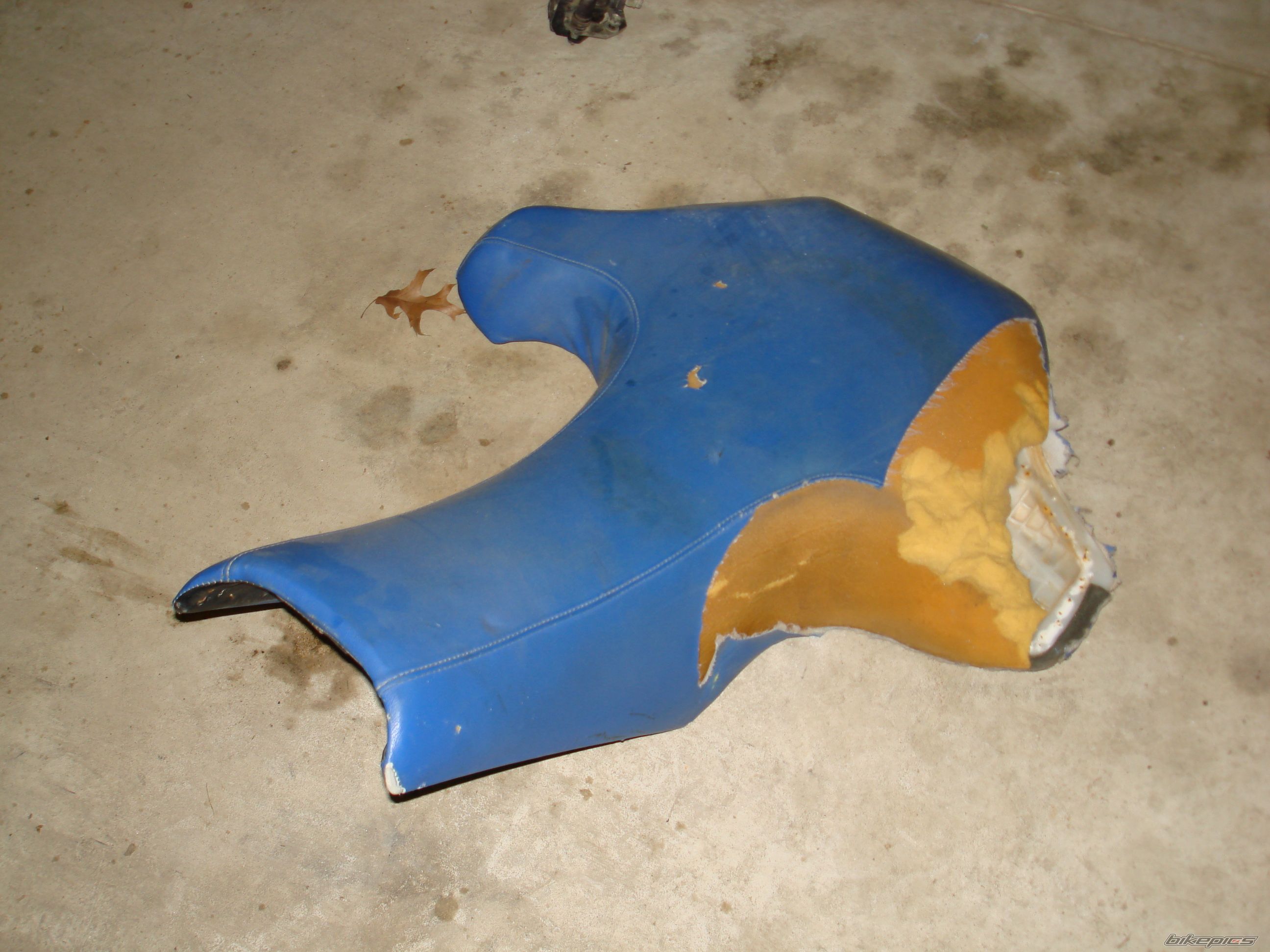 Photo 1531427