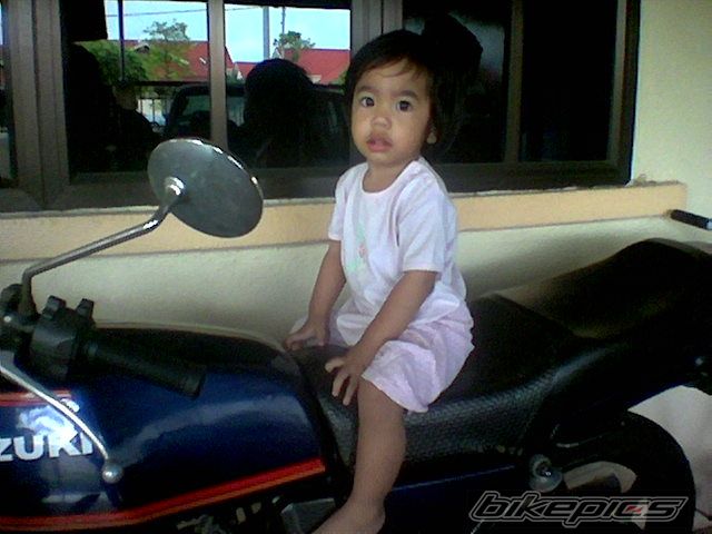 Photo 1531440