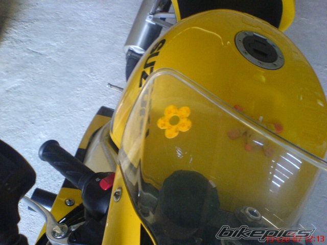 Photo 1531469