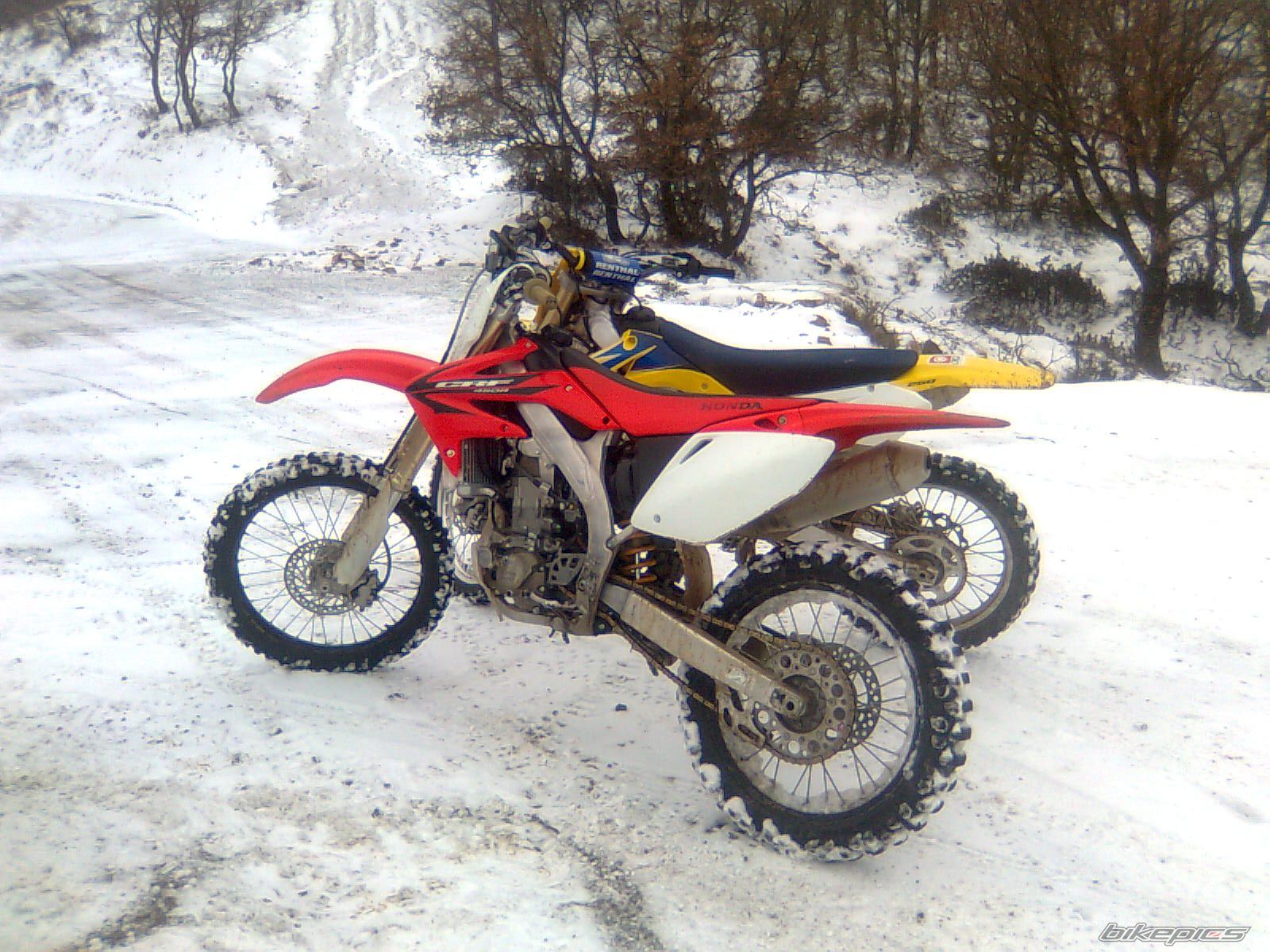 Photo 1531473