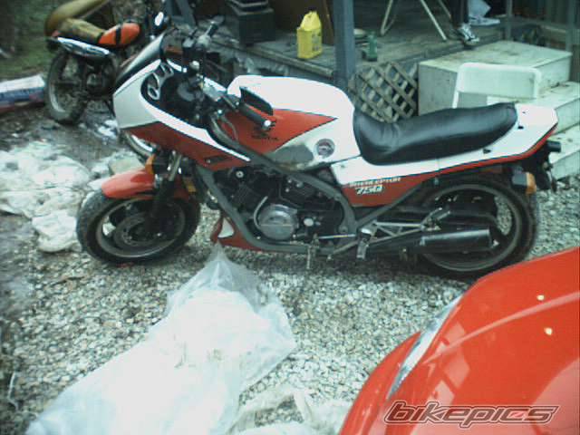 Photo 15315